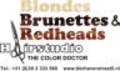 Blondes Brunette's Redheads hairstudio