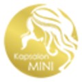Kapsalon Mini